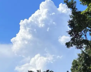 普洱天气预报,普洱7天天气预报,普洱15天天气预报,普洱天气查询